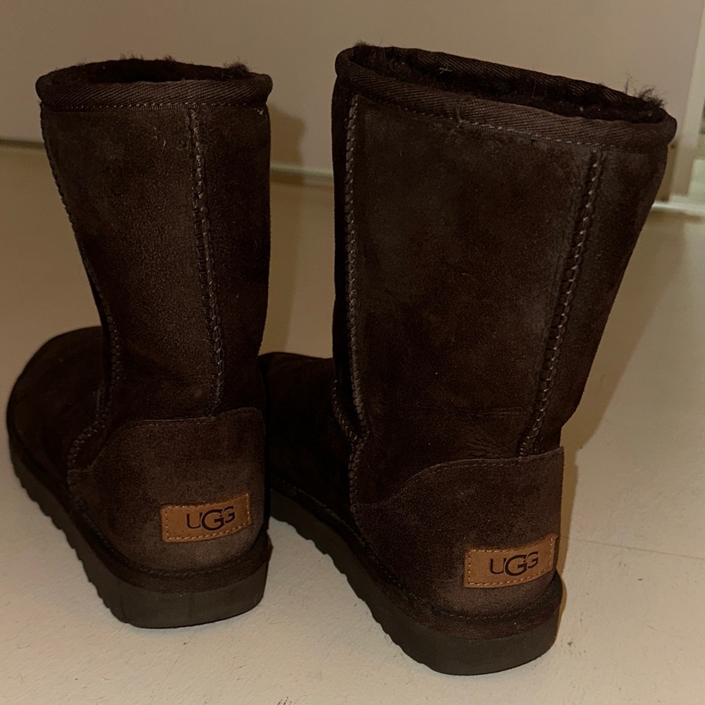Chocolate Brown Uggs